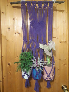 Macrame Plant Holder - Purple Triple