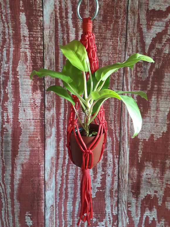 Macrame Plant Holder - Red